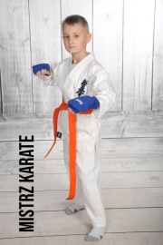 Mistrz-karate