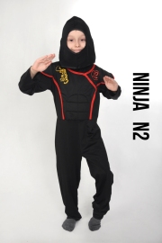 Ninja-N2