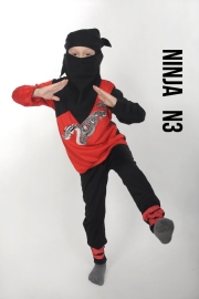 Ninja-N3