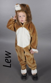 Lew104a