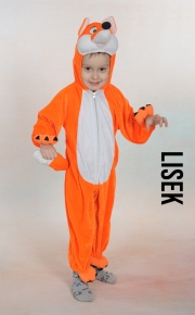 Lis-104