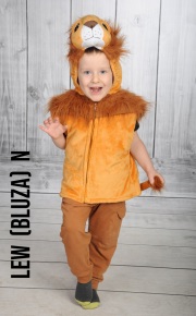 Lew-bluza-N-kopia