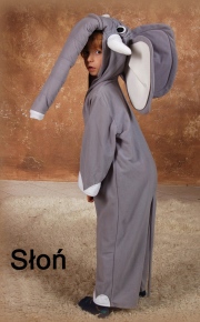 SlON-116