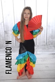Flamenco-N
