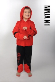 Ninja-N1