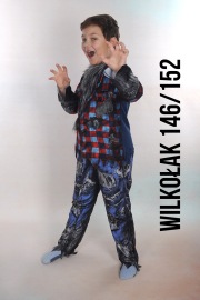 Wilkolak146a