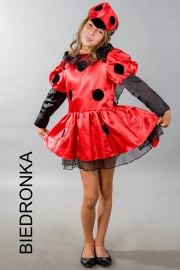 Biedronka-