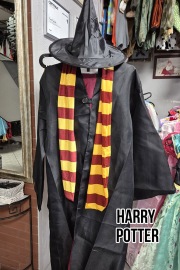 HarryPotterL